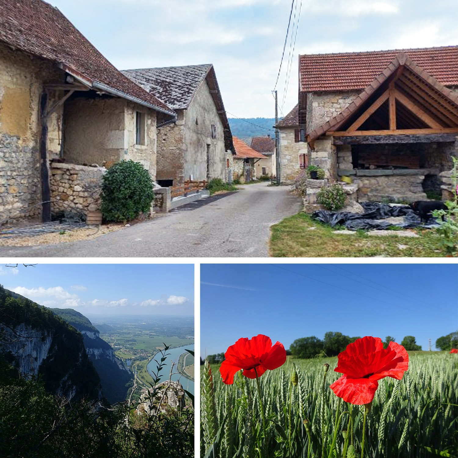 La Forge aux hirondelles - Hameau Les Rives - Chemin de la Tour à Saint-Maurice de Rotherens, Saint-Genix-les-Villages La Forge aux hirondelles - Hameau Les Rives - Chemin de la Tour à Saint-Maurice de Rotherens, Saint-Genix-les-Villages
